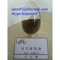 Herbal medicine natural ganoderma lucidum extract,reishi mushroom extract