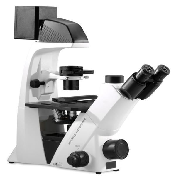 Distancia de funcionamiento larga invertida Trinocular del microscopio óptico de BDS500 Digitaces
