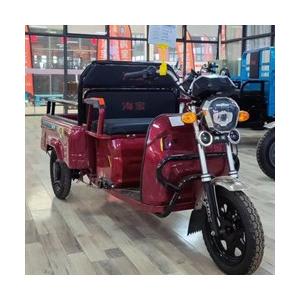 600W Electric Tricycle Cargo Bike E Cargo Tricycle  Electric Charging