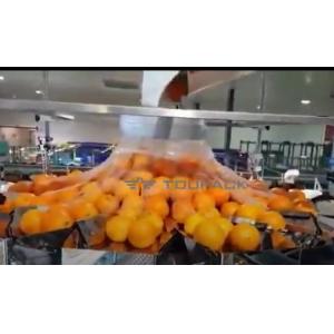 Máquina de empacotamento alaranjada automática das frutas e legumes com rede