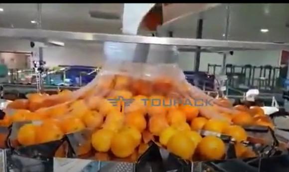 Automatic Orange Fruit And Vegetable Packaging Machine With Net