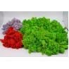 China Preserved Moss wall decoration interior decoration beautiful stabilized preserved reindeer moss wholesale