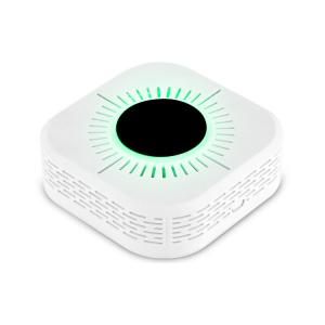 China Smoke And Carbon Monoxide Alarm CO Alarm WIFI RS 433 Smart Home Device supplier