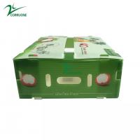 China Correx 10mm Plastic Archive Boxes Carton Coroplast Environmental Friendly on sale