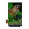 China Practical 480x480 HDMI LCD Screen , Anti Reflective TFT LCD Module wholesale