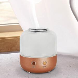 China Mini USB Electric Aroma Diffuser Ultrasonic Aromatherapy Diffuser supplier