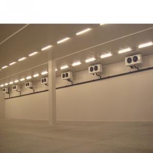 China Customization Commercial Cooling System for Fish Fruit Vegetable Storage Freezer Room wholesale