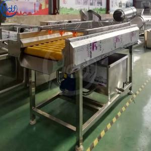 China Fruit and vegetable processing equipment/wool roller high pressure spray cleaning/brush cleaning machine parallel type supplier
