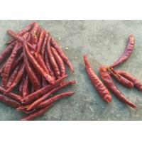 China Single Herb Dried Whole Tianjin Red Chilies High SHU Spicy HACCP on sale