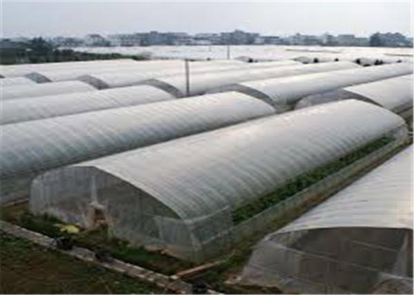 100% hdpe 4x50m insect mesh netting for greenhouse nursery