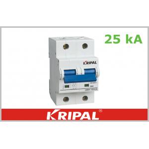 China Compact Thermal Magnetic Circuit Breaker Double Pole 63A 80A 100A 125A supplier