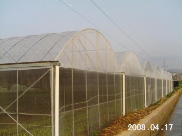 Professional Polyethylene Film Greenhouse Temperature Range -40 To 60℃ For The