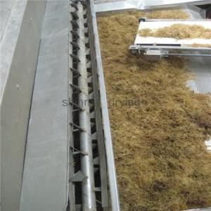 China DW Conveyor Belt Dryer Fruit Dehydrator Machine Plant 120 To 300kg/H supplier