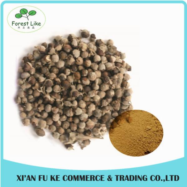 Agnus-castus de 100%/poudre naturels extrait de Fructus Viticis