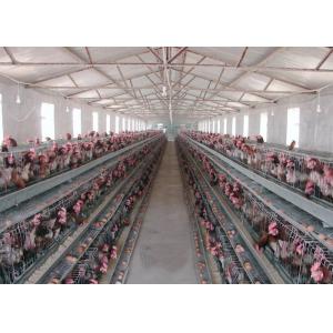 China Smooth Surface Livestock Farming Equipment For Automated Egg Collection supplier