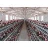 Smooth Surface Livestock Farming Equipment For Automated Egg Collection