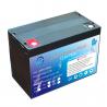 China CE Standard 40AH 12V LiFePO4 Batteries For Touring Car wholesale