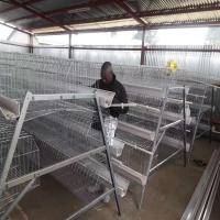China 10000 Layers New Design Layer Hen Cage Battery Cage Eggs on sale