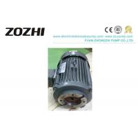 China Light Weight Hollow Shaft Motor Pressure Pumps Clockwise Rotation ISO Approval on sale