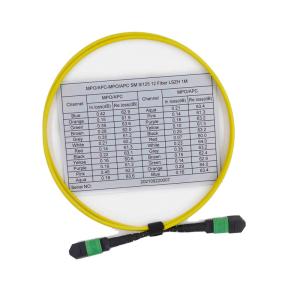 China 女性OS2 9/125 MPO MTPケーブル12繊維の多重モードのパッチ・コード supplier