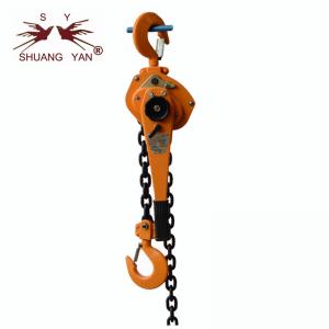 China 1 Ton Chain Block Lifting Equipment Running On Roller Bearings supplier