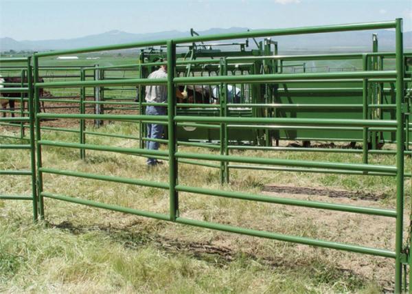 Stainless steel portable horse yard panels cattle handling systems size