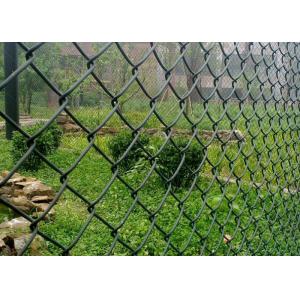 Decorative 50x50mm Galvanized Chain Link Fence 8 Gauge