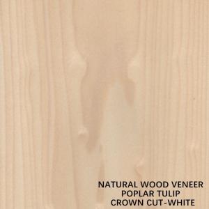 Tulip American Natural Poplar Wood Veneer Flat Cut Crown White For Doors