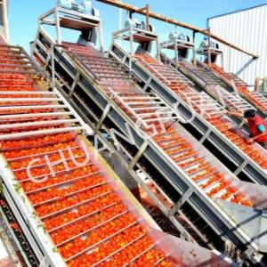 Tomato Paste Production Line Stainless Steel Tube In Tube Sterilization Type
