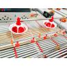 China Plastic Automated Poultry Feeder Drinker  ,  Full Automatic Animal Feeder wholesale