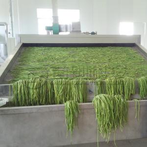 10 Tons Dried Vegetable Continuous Belt Dryer Beet Radish Drying Processing