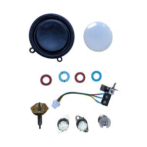 China Flue Gas Water Heater Repair Kit Thermostat Microswitch Sensor and Valve Included wholesale