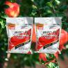 China Slow Release Enhanced Efficiency Fertilizers For Plants And Vegetables wholesale