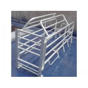 Steel Galvanized Pig Farrowing Crate Gray Color customized size with high quality
