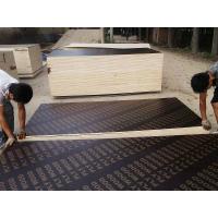 China Construction melamine wbp glue film faced plywood hot sale in Kenya on sale