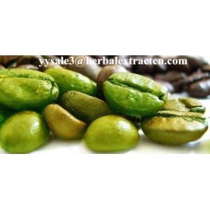 Green Coffee Bean Extract Chlorogenic acid 10%-50% Yellow Brown fine powder, herbal extract manufacture, Yongyuan Bio