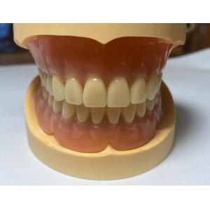 China Easy To Clean Full Acrylic Denture Highly Elastic for long term use wholesale