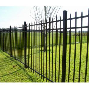 Powder Coating Wrought Iron Welded Wire Garden Fence Black Tubular