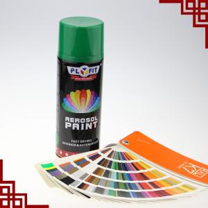 Plastic Coating TUV Aerosol Spray Paint Quick Drying Lacquer Spray