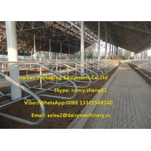 China Hot Dip Galvanizing Tie Free Stall Dairy Barns Cow Farm Equipment Parts supplier