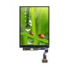 China 2.6 Inch High Resolution Oled Display 240*320 24pins MCU Interface Alll View Angle wholesale