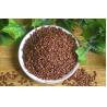China organic grape seed extract powder free samples (Vitis vinifera L) wholesale