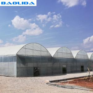 China Dome Roof Structure Strong Plastic Greenhouse With Inside Shading System supplier
