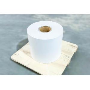 Weatherproof Coated Removable Adhesive Thermal Transfer Labels Back Paper