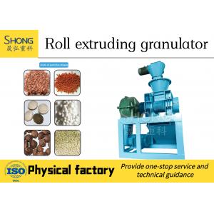 Carbon Steel Double Roller Fertilizer Granulation Equipment For Limestone