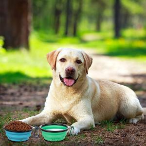 China Practical Tasteless Silicone Pet Suppliers , Lightweight Collapsible Dog Bowls supplier