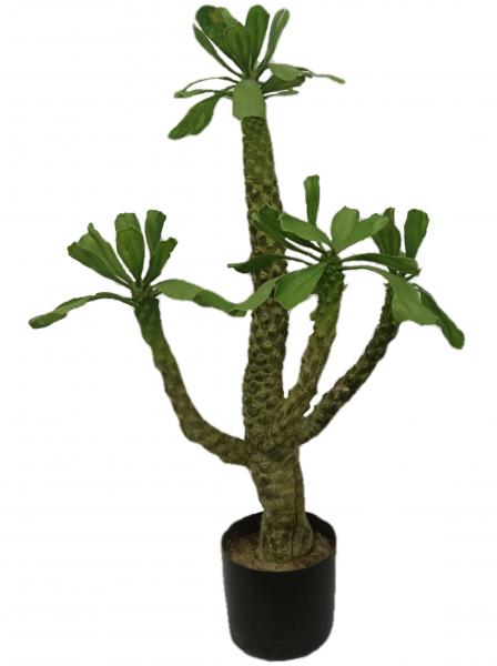 Height 100cm Artificial Landscape Trees Pachypodium Lamerei Drake Indoor Decor