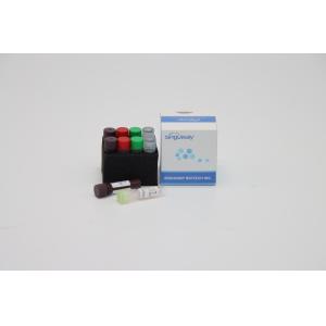 China CE um vírus rápido de Kit For Hepatitis B do teste do jogo HSV do PCR do tempo real da etapa supplier