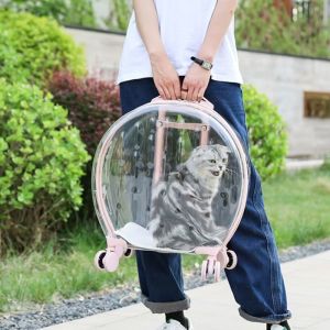 China Outdoor Dog Carrier Bag Convenient Handheld Pet Travel Carrier Open Closure Pull-Rod Bubble Rolling Luggage for Cats wholesale