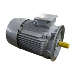 3 Phase 2 Pole Induction Motor Cast Iron Y2-132M1-2 10kw Small Variable Speed